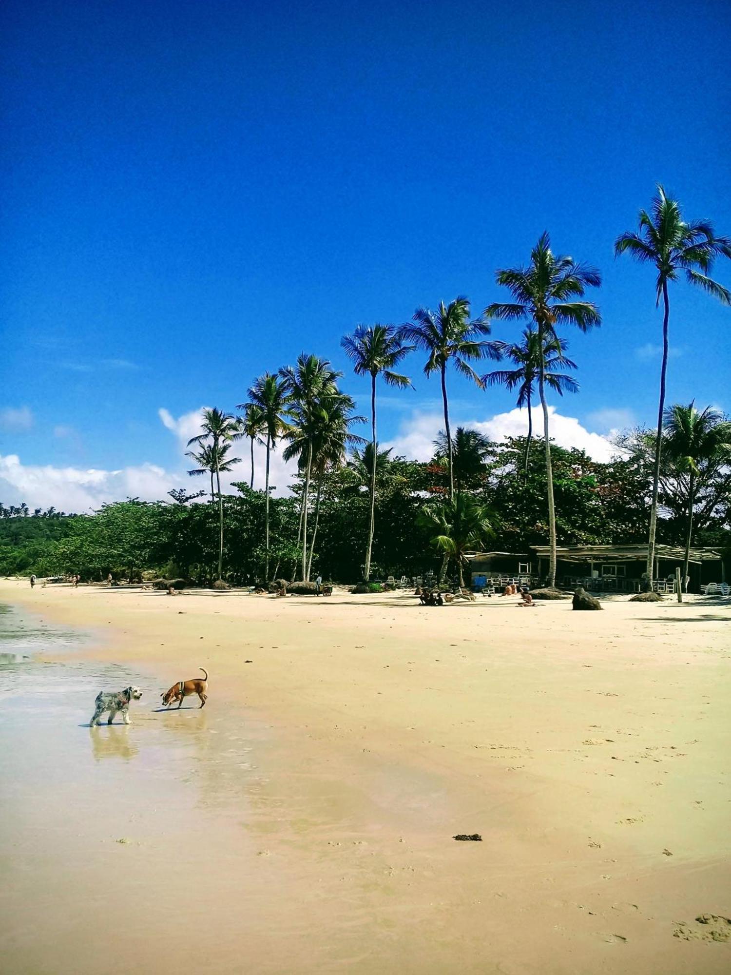 Formosa Porto Seguro
